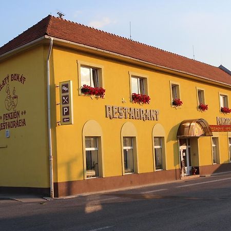 Penzión Zlatý Dukát Hotel Zvolenska Slatina Exterior foto